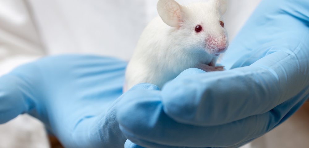 Mouse Model May Help Test Therapies Targeting Bone, Joint Issues in XLH
